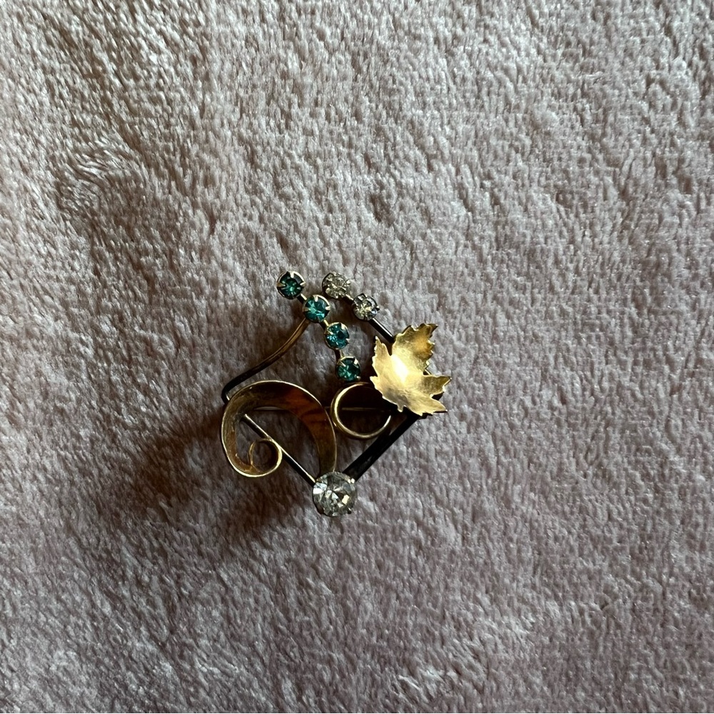Vintage brooch 🌸